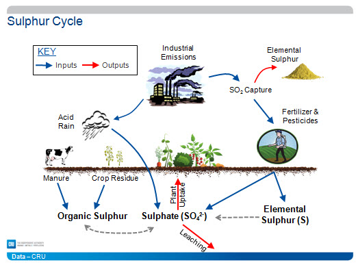 Sulphur Fertilizers - Growth Potential | CRU