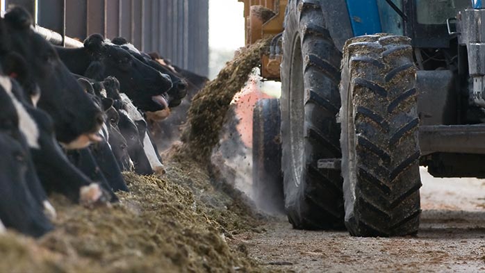 will high cost animal feed phosphate producers survive the cull 