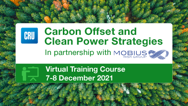 Carbon Offset  and Clean Power Strategies Virtual Training Course 2021