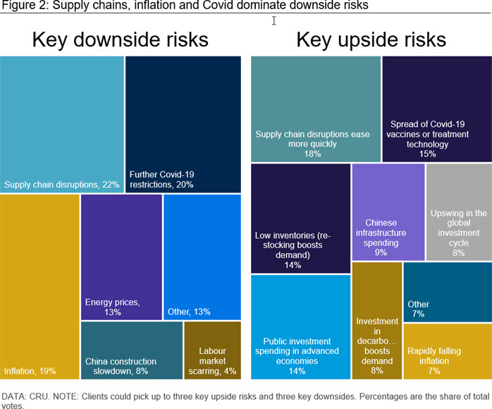 Figure 2: Supply chains, inflation and Covid dominate downside risks